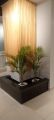 Garden Marble Stones / Pebbles For Decoration for Garden And Pots (1 kg). 
