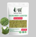 Barg e Sanobar Powder | Sanober Leaves Powder | 100 gm. 