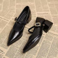2025 Premium Leather Mary Janes - French Vintage Pointed Toe Pumps Chunky Heel Single Strap Shoes Buckle Decor.