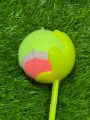 Random Color Roboarm , Sidearm , Cricket ball thrower , Stick. 
