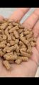 Wanda for Rabbits | Hi Tech 44 Wanda (3-KG) | Rabbit Food all Ages. 