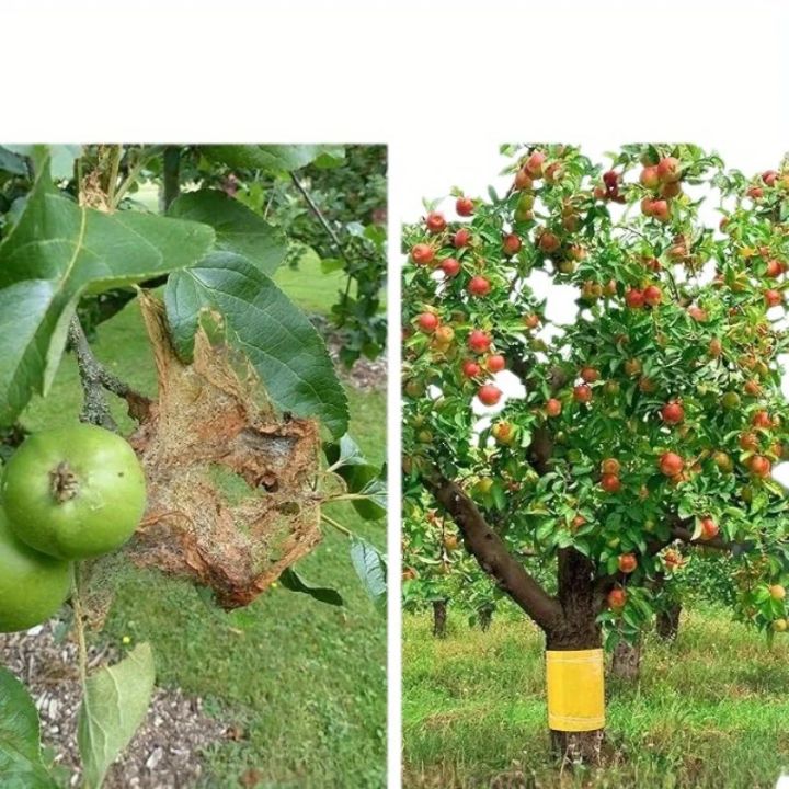 1%20Roll%20of%20Yellow%20Double-sided%20Insect%20Proof%20Tape%20To%20Prevent%20Insects,%20Ants,%20and%20Moths%20From%20Climbing.%20Outdoor%20Garden%20Insect%20Trap%205M%20-%20Image%205