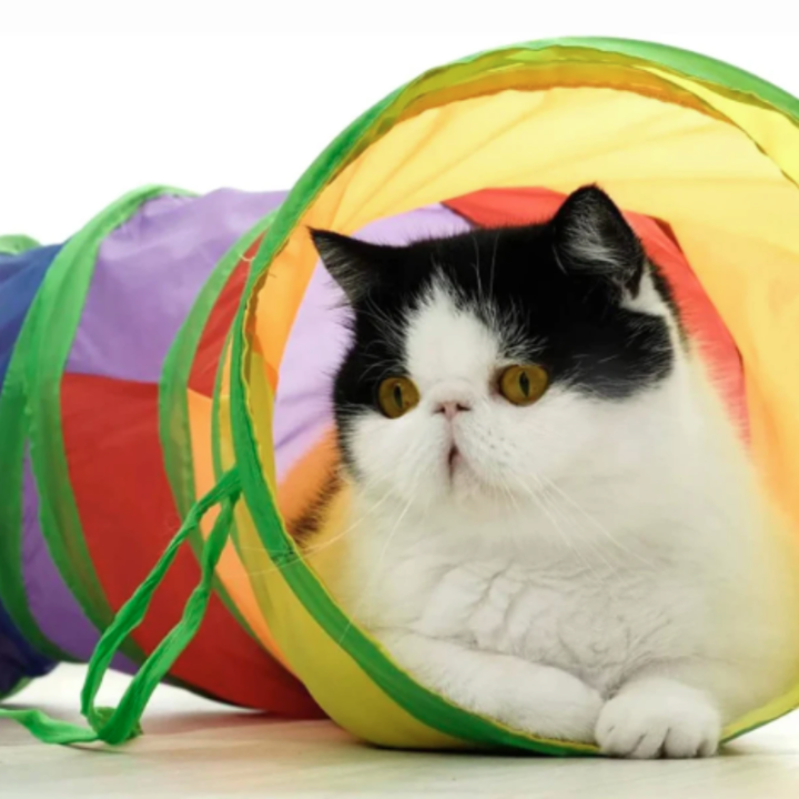 Hot%20Cat%20Tunnel%20Pet%20Tube%20Collapsible%20Play%20Toy%20Indoor%20Outdoor%20Kitty%20Puppy%20Toys%20for%20Puzzle%20Exercising%20Hiding%20Training%20Pet%20Toys%20-%20Image%206