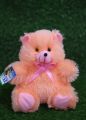 Luxury Plush small Teddy Bear Premium Quality and Ultra Soft suitable for gift. 