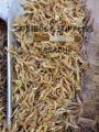 1kg Dry Prawns / Sookha Jheenga/ Dry Shrimps / Sukha Jhinga for Birds, Poultry, Fish, Turtles, Reptiles Etc. 