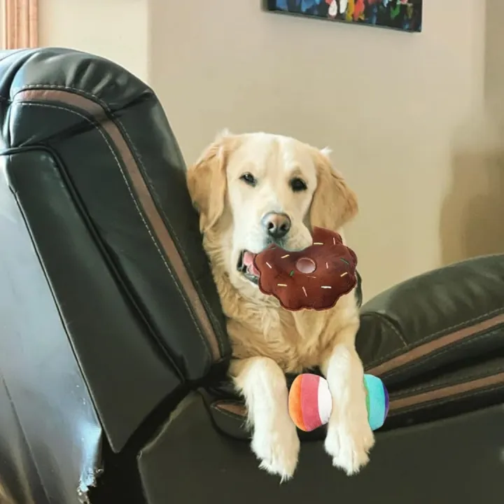 A%207-piece%20set%20of%20puppy%20sound%20toys,%20loose%20plush%20pet%20chewing,%20plush%20fruit%20snacks%20and%20vegetable%20puppy%20toys,%20suitable%20for%20cute%20playm%20-%20Image%204