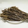 Chirayata (Nepali) چرائتہ |  Bitter Stick | Chiretta | 50 gm. 