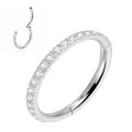 G23 Titanium Piercing Hinged Segment Hoops CZ Stone Nose Rings Ear Cartilage Tragus Helix Earrings Piercing Body Jewelry. 