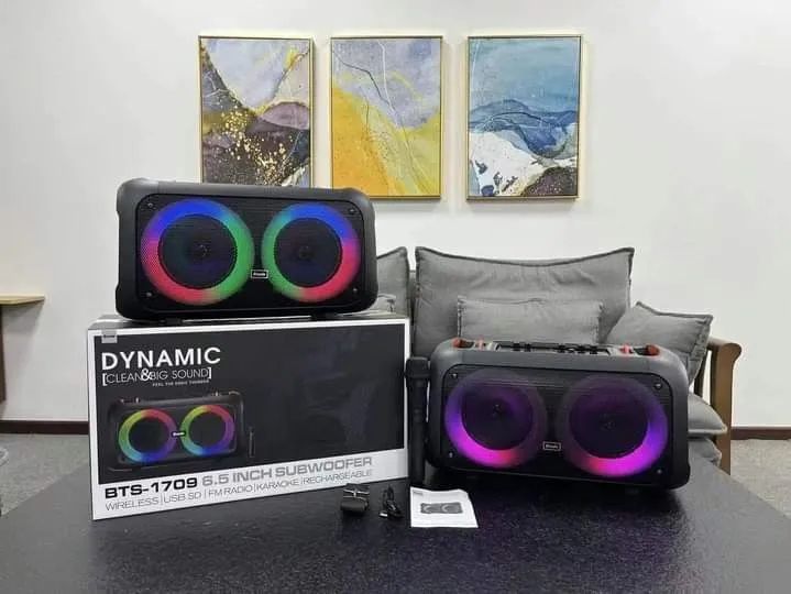 BTS%20-%201709%20DYNAMIC%20Clean%20&%20Big%20Sound%20Party%20Box%20Outdoor%20With%20Wireless%20Mic%20-%20Image%206