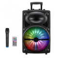 12 inches outdoor party speaker.