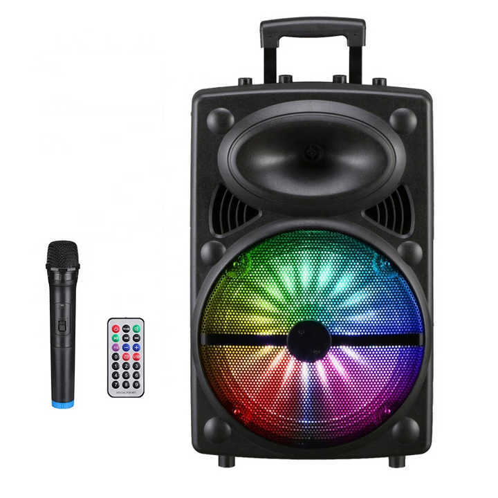 12 inches outdoor party speaker