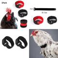 2pcs No Crow Collar for Roosters No Crowing Belt Neckband Poultry Supplies Anti Crow Rooster Collar No Noise.