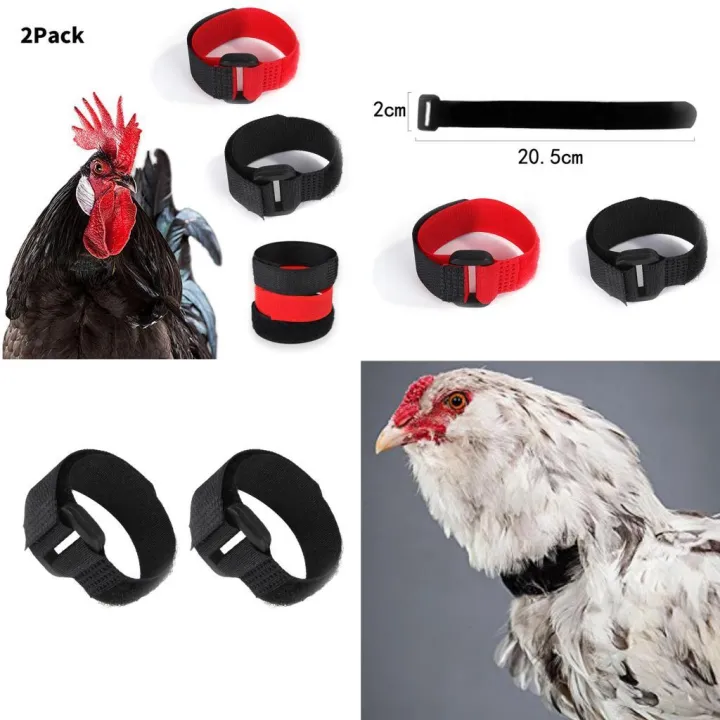 2pcs%20No%20Crow%20Collar%20for%20Roosters%20No%20Crowing%20Belt%20Neckband%20Poultry%20Supplies%20Anti%20Crow%20Rooster%20Collar%20No%20Noise%20-%20Image%203