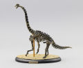 Jurassic World Brachiosaurus Skeleton PVC Assembly Dinosaur Toys Model Action Figures Best Kids Toys Educational.