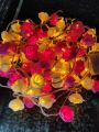 80 pieces Rose fairy light set current system. 