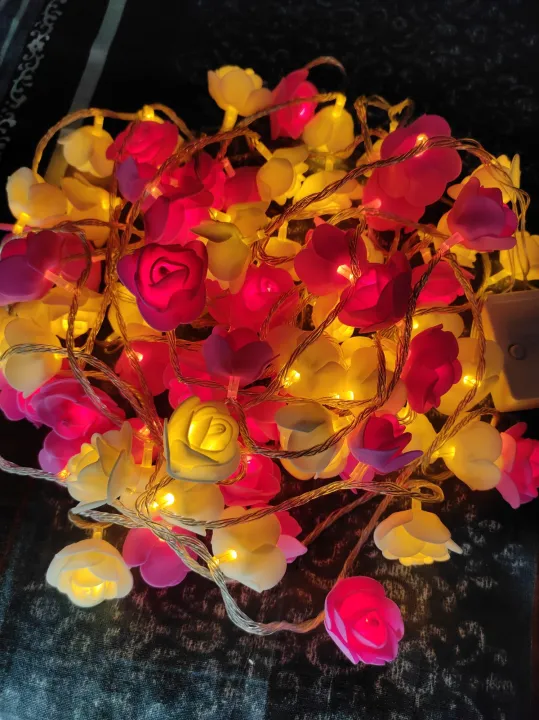 80%20pieces%20Rose%20fairy%20light%20set%20current%20system%20-%20Image%207