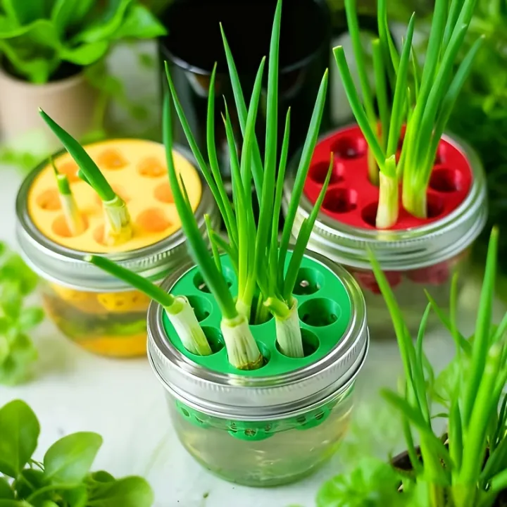 4pcs Garlic and Scallion Hydroponic Planters | 3D Printed Molds for ...