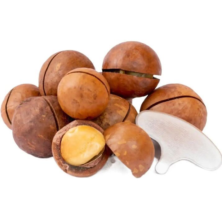 Chabi wala Akhrot 1 KG