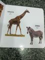 my first little book of animals  hard bond. 
