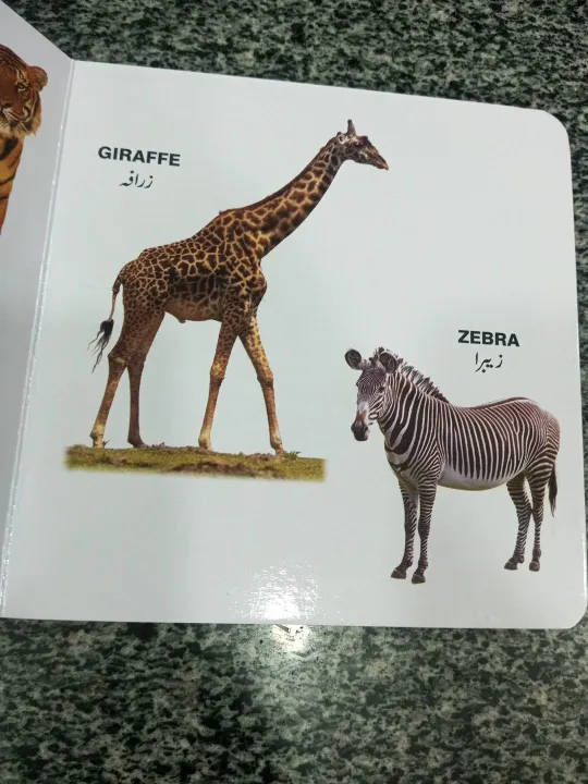 my%20first%20little%20book%20of%20animals%20%20hard%20bond%20-%20Image%203