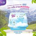 King's Stella air freshener gel (King's Stella) fresh gel 30 Days 180g. 