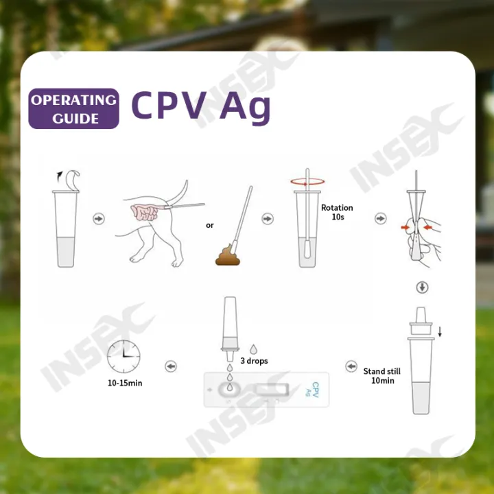 CDV%20/%20CPV%20/%20FPV%20Pet%20Test%20Kit:%20Feline%20Panleukopenia%20Test,%20Canine%20Distemper%20Test,%20Dog%20Parvovirus%20Stool%20Test%20-%20Image%206