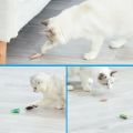 Automatic Flip Over Rolling Cat Toy Electric Vibrating Moving Beetle for Indoor Kitten Exercise Chase Training Fun Games. 