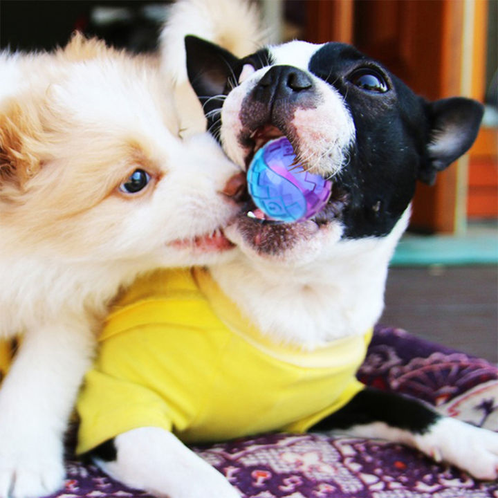 Pet%20Dog%20Squeaky%20Toys%20Ball%20Puppy%20Chew%20Toys%20Sound%20Pure%20Natural%20Non-toxic%20%20Outdoor%20Play%20Small%20Big%20Dog%20Funny%20Elasticity%20Ball%20-%20Image%204