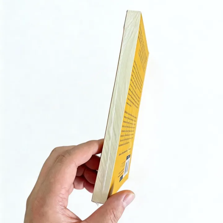 The%20Culture%20Map%20Decoding%20How%20People%20Think%20Lead%20and%20Get%20Things%20Done%20Across%20Cultures%20English%20Paperback%20Book%20-%20Image%204