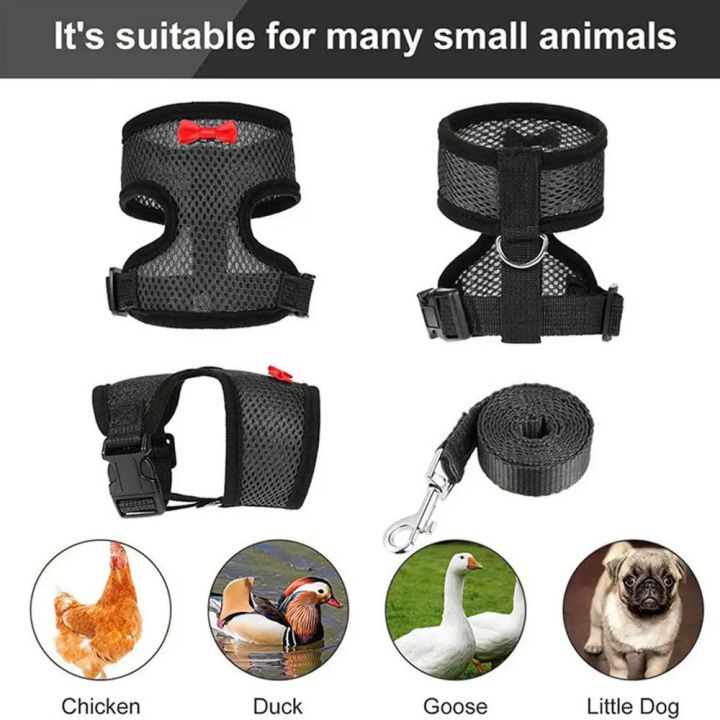 Pet%20Adjustable%20Harness%20Leash%20for%20Chicken%20Puppy%20Comfortable%20Breathable%20Pet%20Vest%20for%20Small%20Dogs%20Duck%20Goose%20Training%20Accessories%20-%20Image%204
