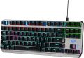 lAULA F3087 Mechanical Gaming Keyboard with RGB lRainbow Blacklit, ABS Keycaps, 87 Keys Anti-Ghosting Ergonomic USB Type-C Wired Computer Keyboards for Windows PC Blue Switch. 