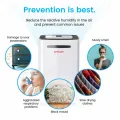 Crown Line Touch Screen Panel DeHumidifier MD-231. 