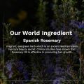 Pilgrim Spanish Biotin Rosemary Hair Growth Oil 100 ml. 