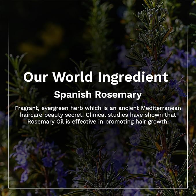 Pilgrim%20Spanish%20Biotin%20Rosemary%20Hair%20Growth%20Oil%20100%20ml%20-%20Image%205