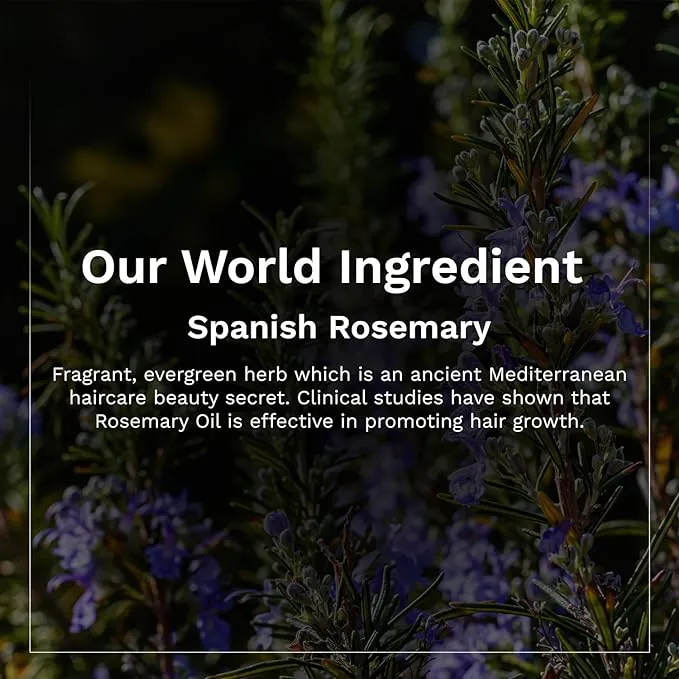 Pilgrim%20Spanish%20Biotin%20Rosemary%20Hair%20Growth%20Oil%20100%20ml%20-%20Image%205