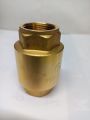 Brass spring check valve,vertical spring check valve,double lin company , supreme quality. 