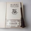 Harry Potter Wand Pen and Hogwarts Ticket. 