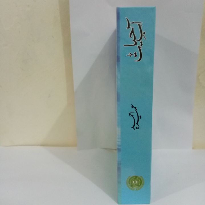 (HARD%20COVER)%20Umera%20Ahmed%20Most%20Selling%20Book%20Aab%20e%20Hayat%20-%20Image%202