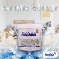Robbialac Brilliant White Interior Emulsion paint Emulsion Wallmaster. 