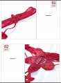 T SHAP FRONT EMBROIDERY AND BACK NET FANCY PANTY. 