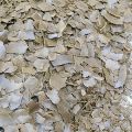 Mustard cake Fertilizer/Mustard cake/Organic Fertilizer/Sarso Khali/1 kG. 