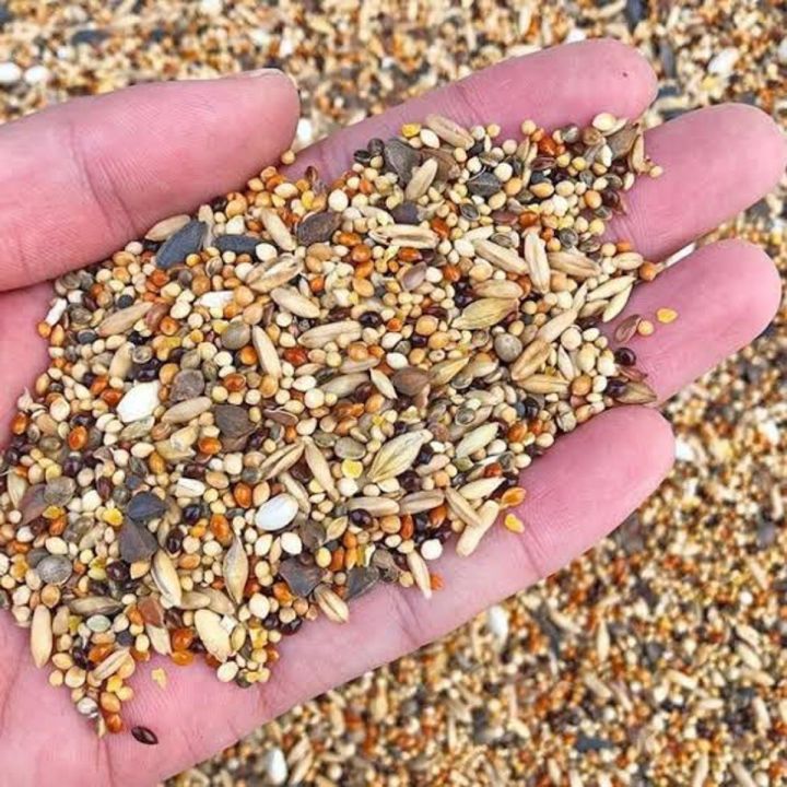 (pack of 1 kg) Mix bird food feed seed