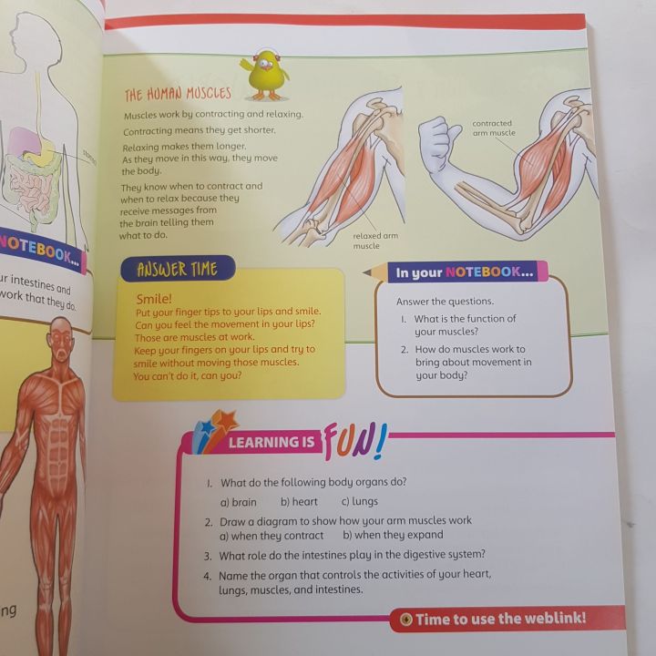 THE%20SCIENCE%20FACTOR%20FOR%20PRIMARY%20CLASSES%20BOOK%204%20BY%20NICOLAS%20BRASCH%20-%20Image%205