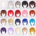 Men Women Synthetic Anime Cosplay Wigs Short Straight Hair Heat Resistance Multicolour Red White Pink Gray Brown. 