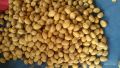 Desi Walnuts Giri 500G | White Giri Dried | Zaiqa Daar. 