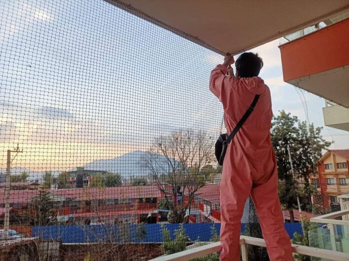 Bird%20Net%20Installation%20/%20Pigeon%20Net%20Installation%20Per%20Square%20Feet%20-%20Image%203