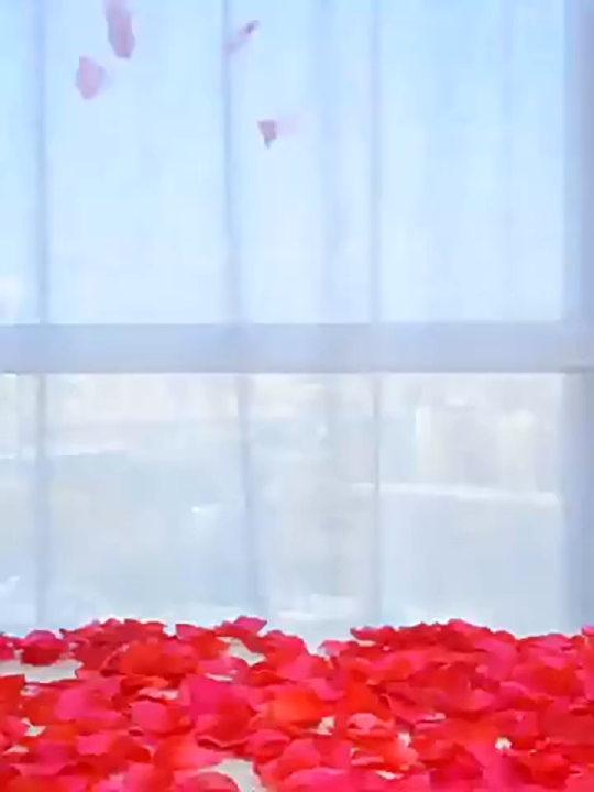 100PCS Artificial Rose Petals Soft Reusable Fabric Flower Petals for ...