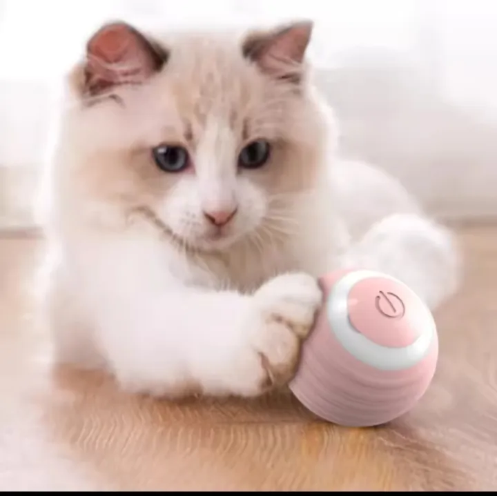 Cat%20ball%20toy%20cat%20Toy%20item%20for%20cat%20-%20Image%204