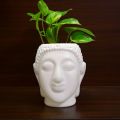 Buddha Sape Flower Pot, Gamala For Indoor Gardening. 