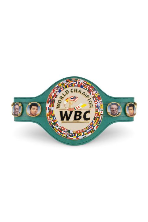 WBC WORLD CHAMPIONSHIP REPLICA BELT WORLD BOXING COUNCIL FULL SIZE ADULT